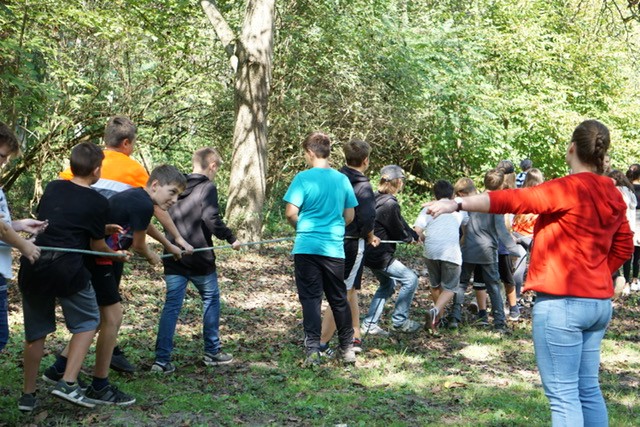 ORG_DSC04921