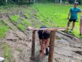 IMG-20220629-WA0074