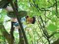 DSC05403