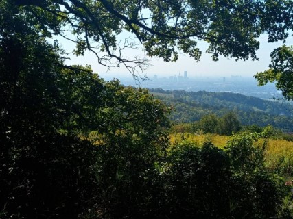 20220908_105333_HDR