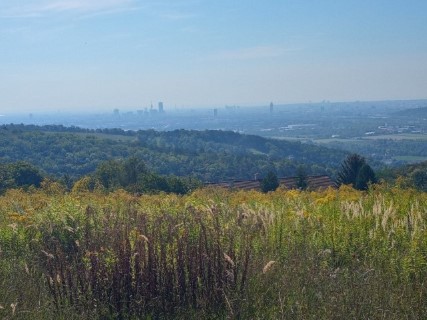 20220908_105550_HDR