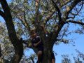 IMG-20220908-WA0017