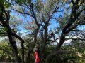IMG-20220908-WA0018