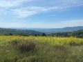 IMG-20220908-WA0024