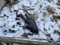 20240109_104116-Klein