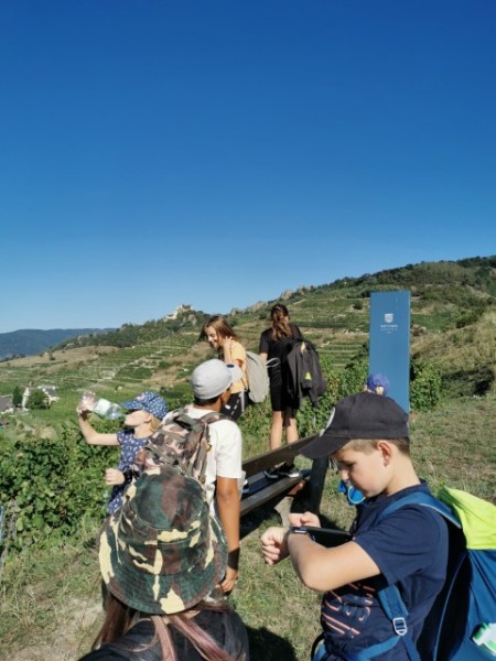 IMG_20230907_100415-Klein