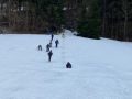 IMG-20230227-WA0019