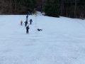 IMG-20230227-WA0020
