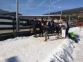 IMG-20230228-WA0091