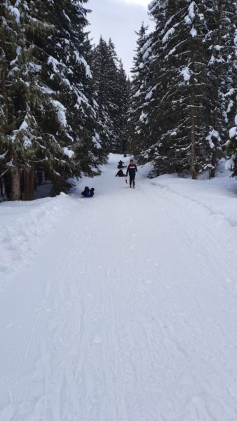 IMG-20230301-WA0029