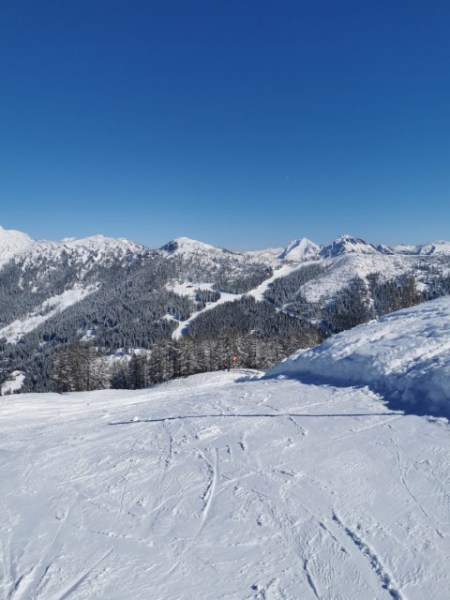 IMG-20230301-WA0088
