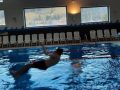 IMG-20230301-WA0018