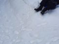 IMG-20230301-WA0027