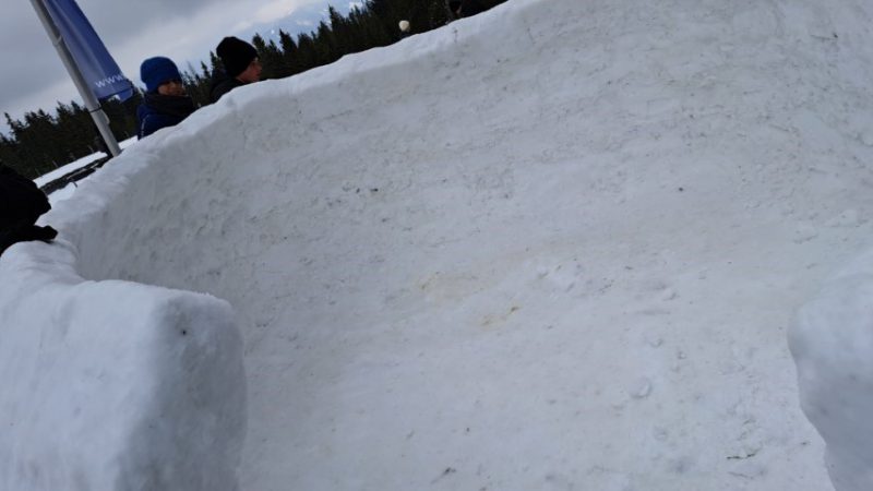IMG-20230303-WA0013