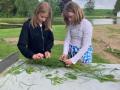 IMG-20230601-WA0000