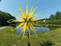 20230531_103059-Klein