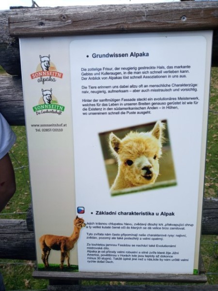 20230601_140735-Klein