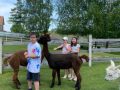 IMG-20230602-WA0047-Klein