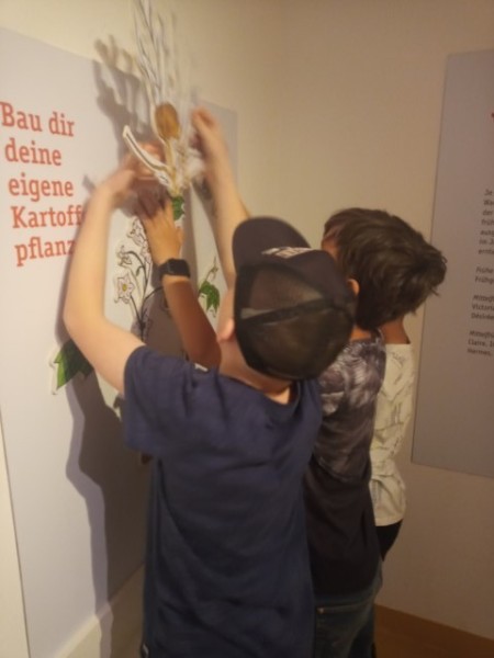 20230530_153840-Klein