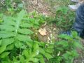 20230530_172918-Klein