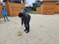 20240119_092447-Klein