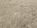 20240126_091549-Klein