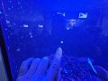 20240227_110102-Klein