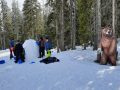 20240307_140029-Klein