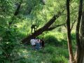 20240506_092334-Klein