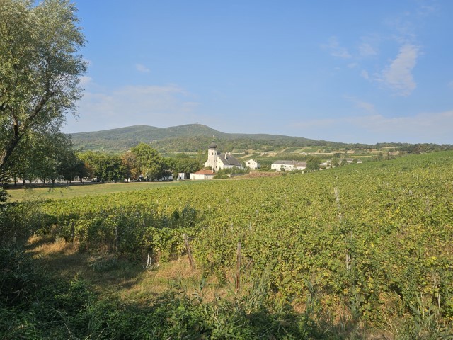 20240905_093901-Klein
