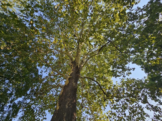 20240905_094158-Klein