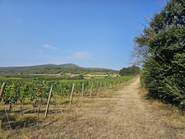 20240905_095256-Klein