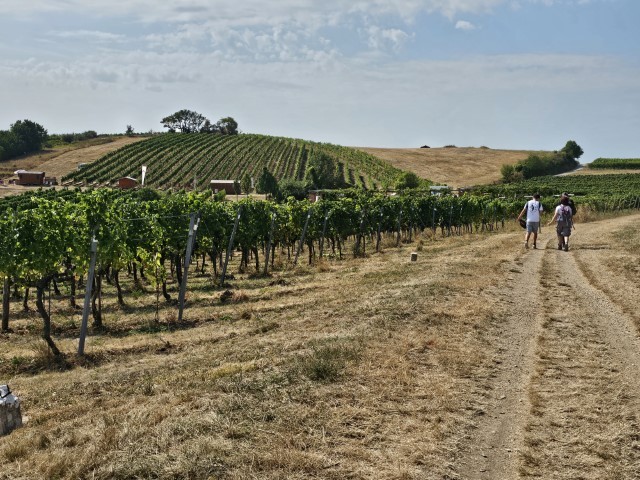 20240905_113718-Klein