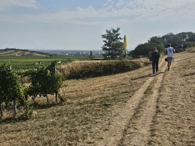 20240905_114429-Klein