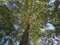 20240905_094158-Klein