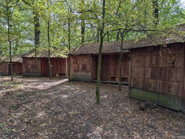 PXL_20240911_092647945-Klein