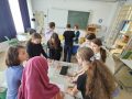 20250410_125149-Mittel