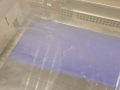 20250526_090342-Mittel