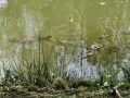 20250603_124846-Mittel