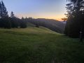 20250625_044612-Klein