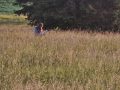 20250625_050350-Klein