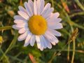 20250625_051343-Klein