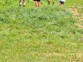 20250625_124118-Klein