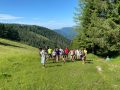 IMG-20250626-WA0081-Klein