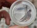 20250616_120429-Klein