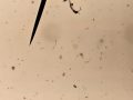 20250616_123430-Klein