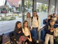 IMG_2702-Klein