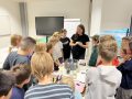 IMG_2735-Klein
