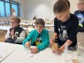 IMG-20251009-WA0005-Klein