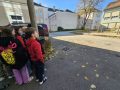 20251104_113743-Klein